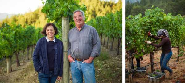Left: Francoise Peschon and Michael Wolf, Right: farmworker in the vineyard